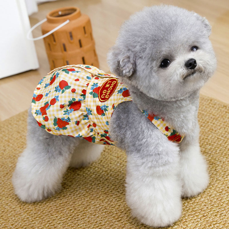 Roupas de verão para cães, ves - Yellow Summer Clothing avaliação e preço