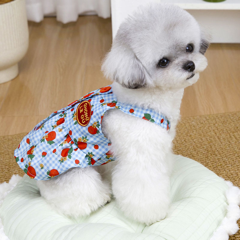 Roupas de verão para cães, ves - Yellow Summer Clothing avaliação e preço