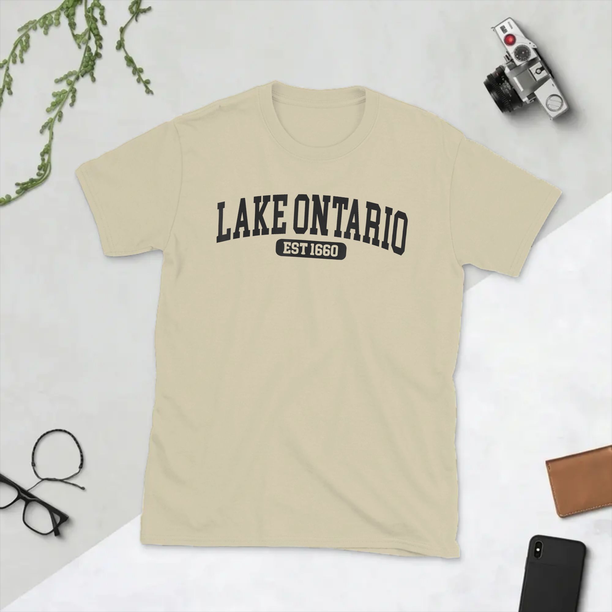 Camiseta Masculina Engraçada c - Summer Clothing Quotes avaliação e preço